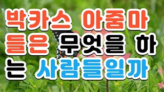 박카스 아줌마들은 무엇을 하는 사람들일까요