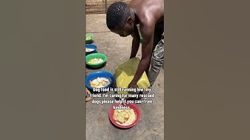 PayPal link to donate in our bio - Every bit counts❤️