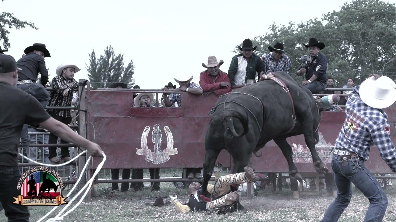 La Ultima Monta Del Niño De Oro 😭LA ULTIMA MONTA DEL CONSENTIDO DE APOALA OAXACA 😭 - YouTube