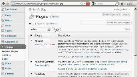 Video 9 - How to Upgrade or Delete Plugins Automatically