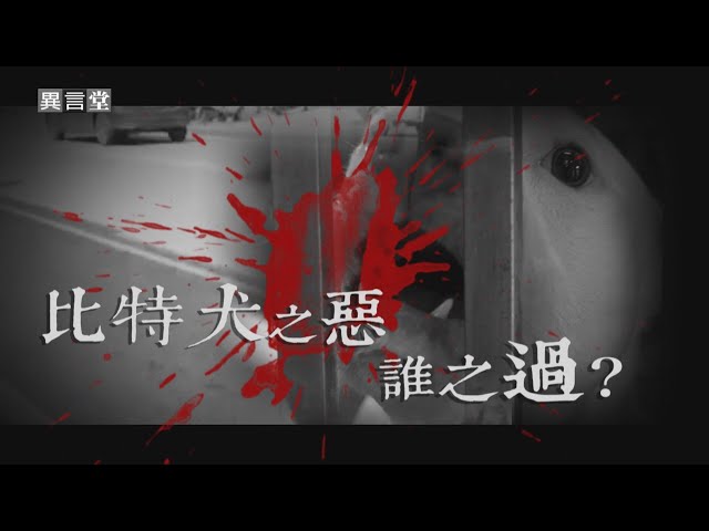 【民視異言堂】比特犬之惡 誰之過？