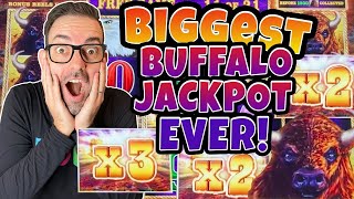 🤓 My BIGGEST JACKPOT EVER on BUFFALO LINK! 😎 Be a SMART Gambler + Wear Glasses!