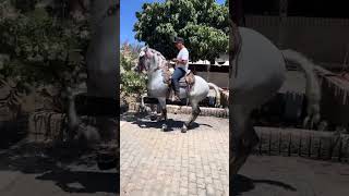 Joan Sebastian
