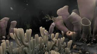 the Burgess Shale screenshot 5