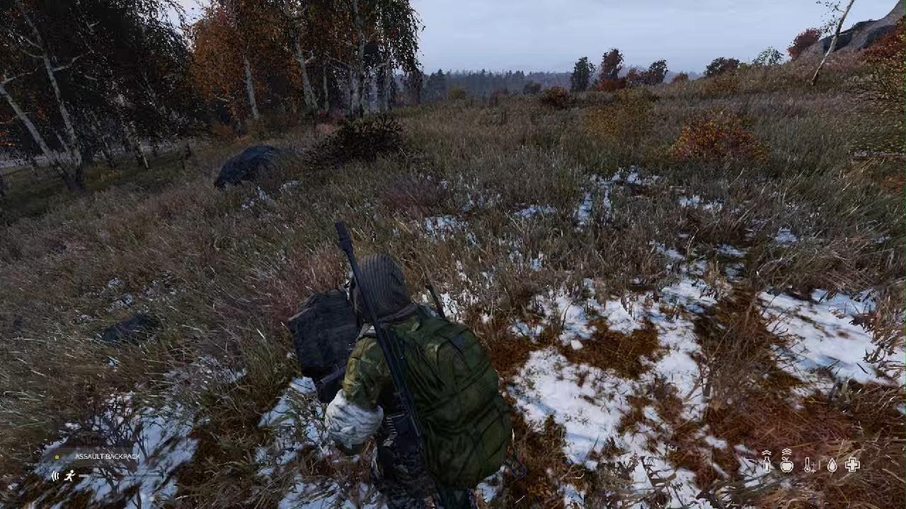 DayZ Sahkal How to have Pet wolf - YouTube
