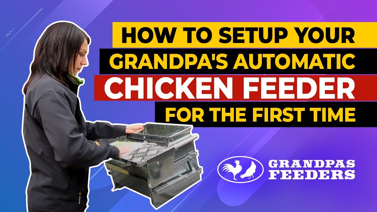 How to Setup Your Grandpa's Automatic Chicken Feeder for the First Time