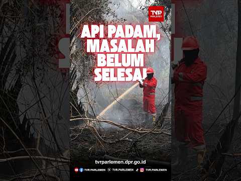 Api Padam, Masalah Belum Selesai