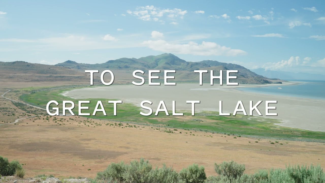 Southwest Adventure Tours Great Salt Lake & Antelope Island Day Tour