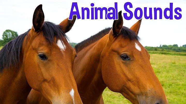 Animal Sounds for Toddlers (20 Amazing Animals) | Educational Video for Kids