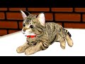 Симулятор Кота #5 Серый Толстый Маленький котенок в Cat Simulator Kitty Craft с Кидом на пурумчата