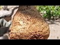   Có h.a Ngọc (Đx))2M88 gl dúi 250k  LH 0707713796 Khương bonsai 