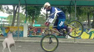 Unleashing Insanity in the Concrete Jungle! Urban Downhill Madness