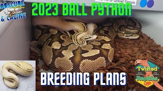 Ball Python Breeding Has Started! 2023 Season Profile