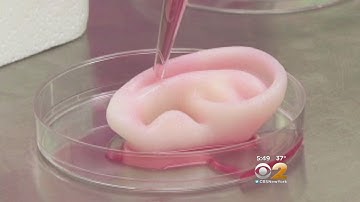 Dr. Max Gomez: 3D Printing Tissue