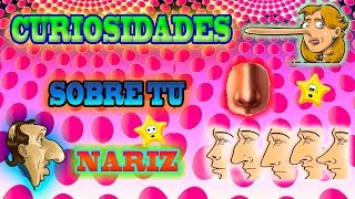 COSAS QUE NO SABÍAS SOBRE TU NARIZ