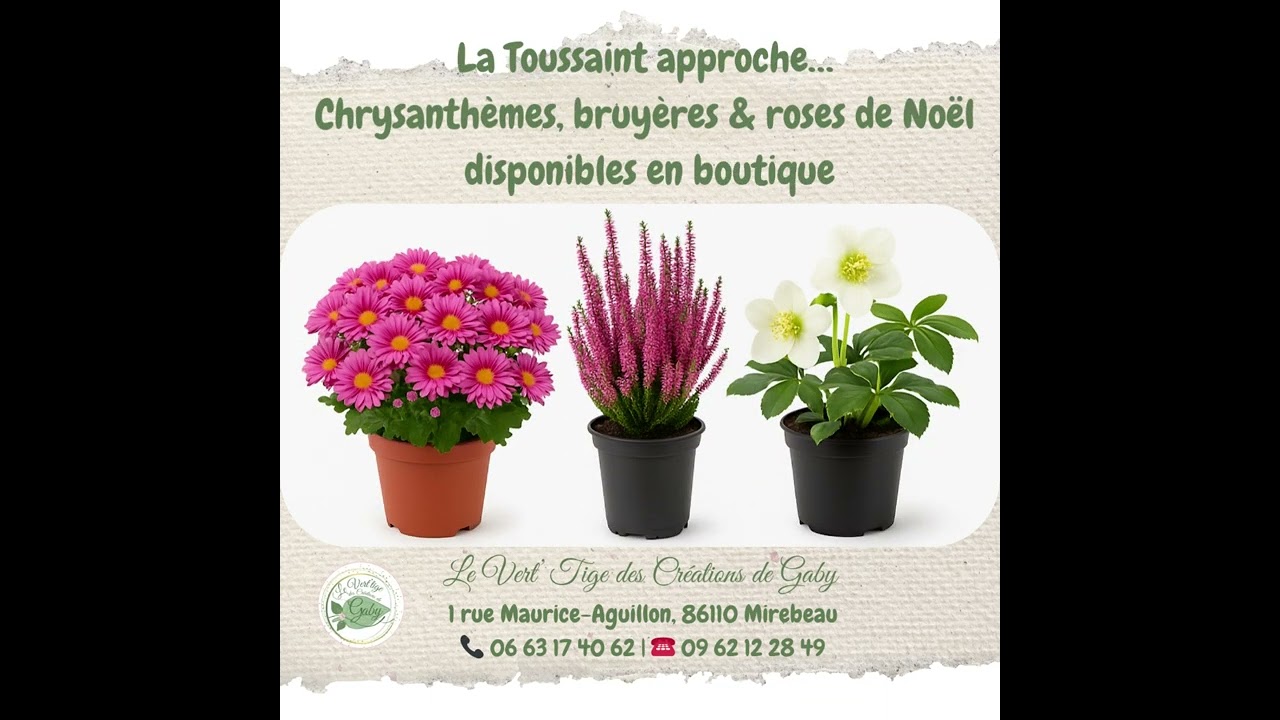 Le Vert’ Tige des Créations de Gaby