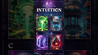 Which Image Have I Chosen? Intuition #11