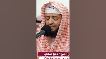 جديد التلاوات الشيخ وديع اليمني رمضان 🌙 ١٤٤٤ه‍