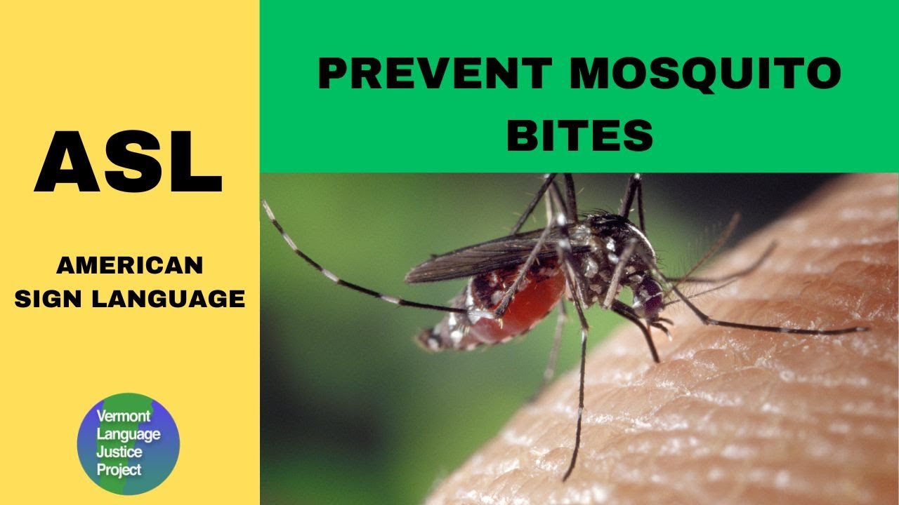 ASL Mosquito Bite Prevention - YouTube