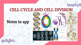 Cell cycle and cell division in tamil | Mitosis and Meiosis |