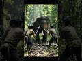 Eliphent attack #elephant