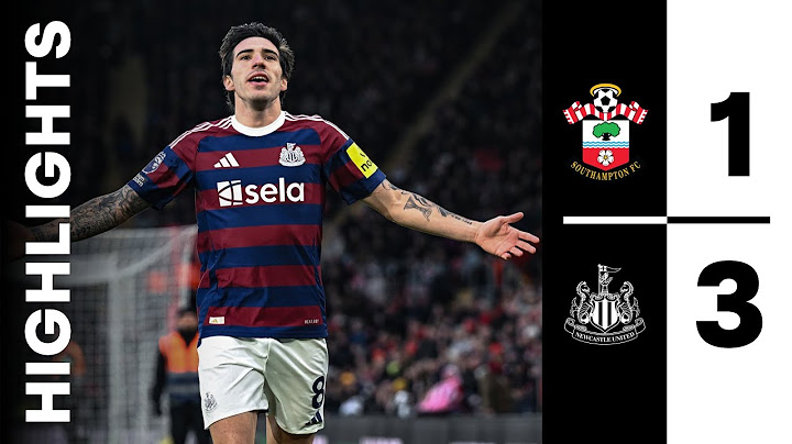Southampton 1 Newcastle United 3 | Premier League Highlights