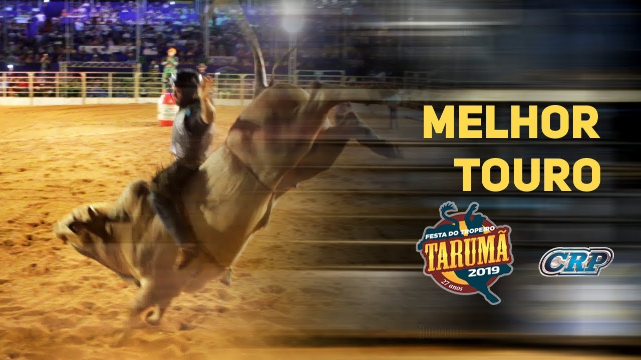 DOCE AMARGO (Cia. Tercio Miranda) - Melhor Touro de Tarumã 2019