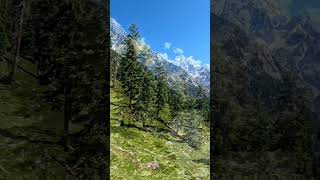 #forest #mountains #aesthetic #nature #naturelovers #peaceful #rainyday #sunset
