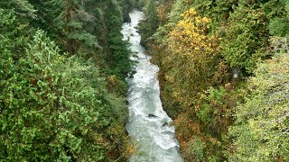 West Fork Humptulips River | Kayak