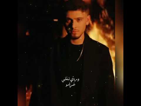 الشامي غيباتك كسروا قلبي وشلو جسمي الشامي   ترند تيك توك جديد 2025 اكسبلور