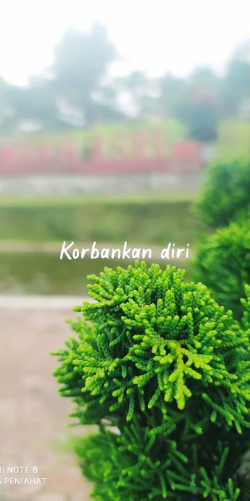 hilang pandangan story Wa