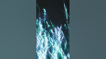 Cool Fireworks in UE5.3 Niagara | For Patreon  #ue5  #cghow