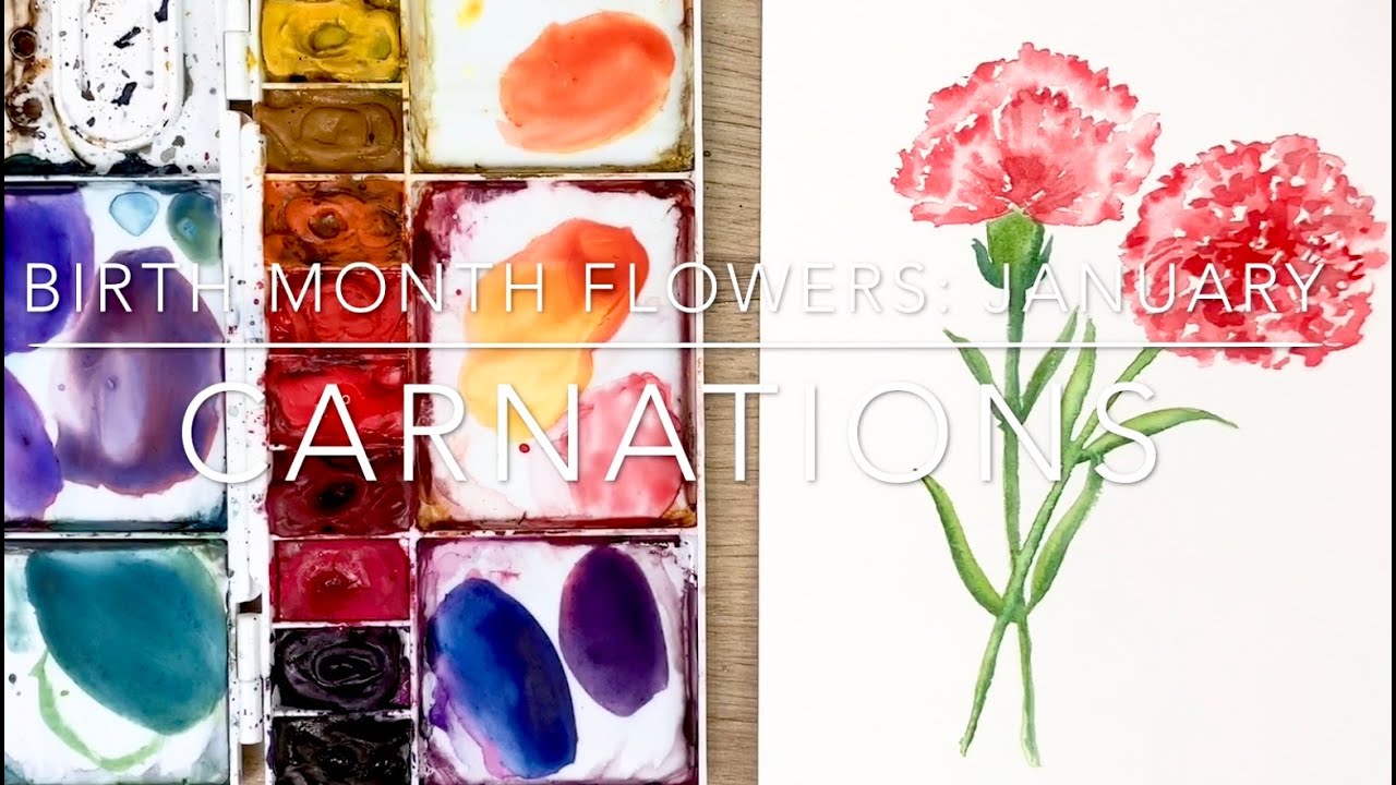 Floral Postcard Set January Birth Month Flower Botanical Stationery Carnations Postcard Birthday Note Hand Painted Watercolor