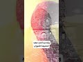 علاقة داغستان باللغة العربية علاقة داغستان باللغة العربية