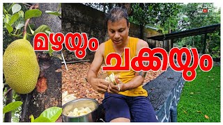 ഈ ചക്കയെ കൊണ്ട് തോറ്റു.... 😂 /Pakkavada recipe/Jackfruit recipe /Snacks /Chakka Puzhukku/AJU'S WORLD