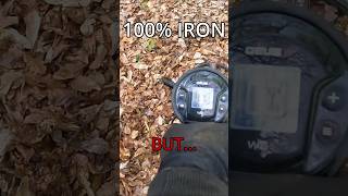 100% Iron… Glad I Dug It!