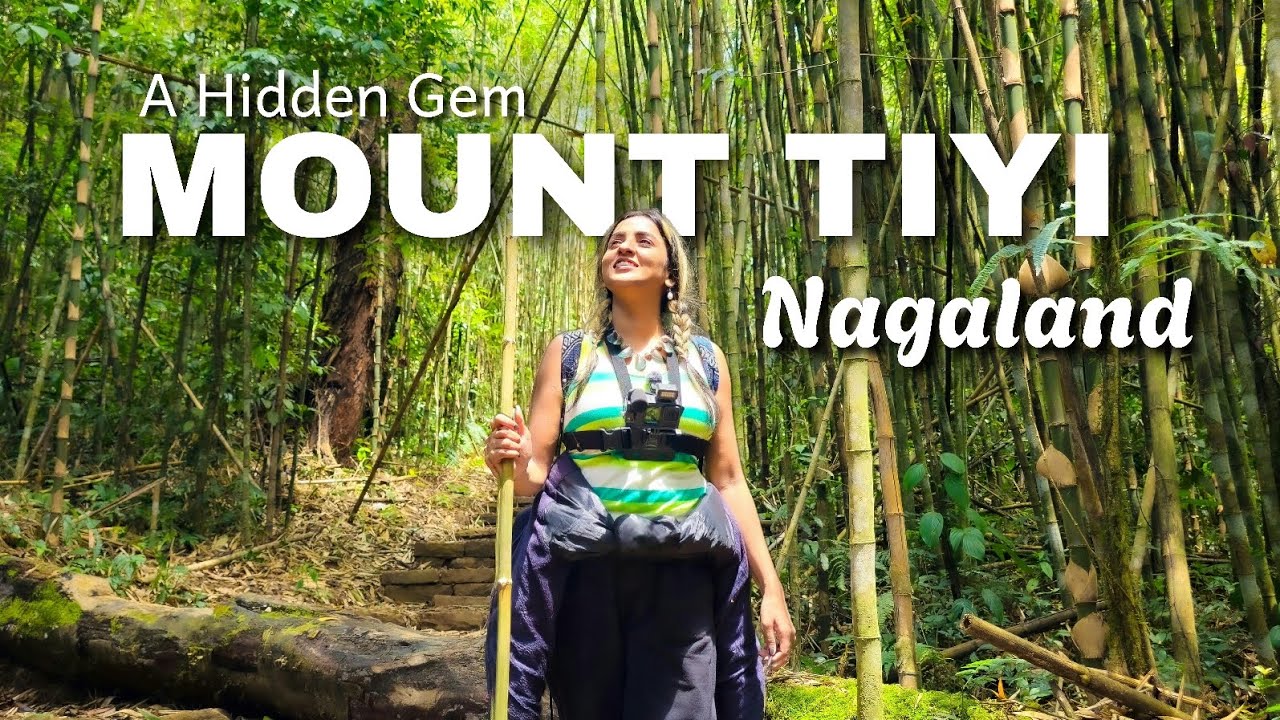 Trek To Highest Peak Of Wokha || MOUNT TIYI NAGALAND || A Hidden Gem Of Nagaland #trek #travel