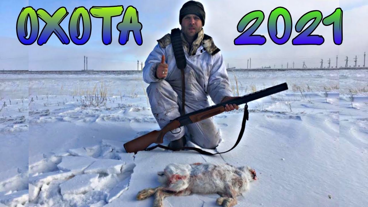 охота на зайца 17