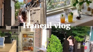 vlog#39 | 韓国生活| 大邱旅行| カフェ巡り|食べまくり|大邱名物を食べる|