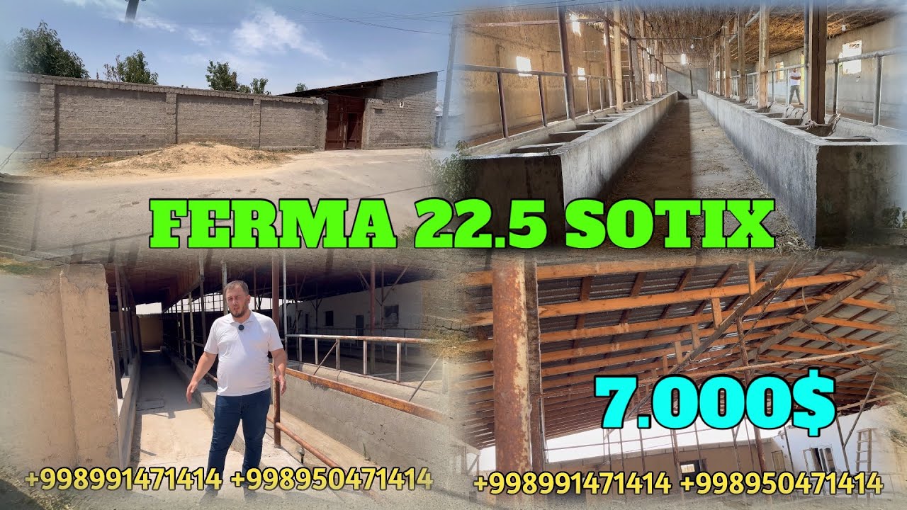 FERMA SOTILADI 22.5 SOTIX XAMMA SHAROITI ZO'R SVET GAZ SUV MUOMMO YO'Q. EGALIK 1 KISHI YER NARXDA