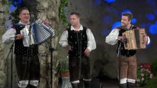 Video thumbnail of "Ansambel Tik Tak - Melodije srca (v živo)"