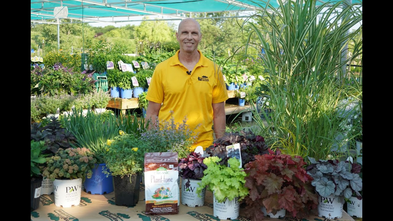 Low Maintenance Perennials ENGLISH GARDENS YouTube