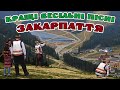 Кращі весільні пісні Закарпаття