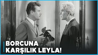 Kumarbazın İntikamı Türk Filmi Turgut, Leylayı İstiyor