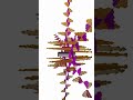 Radiation waves from Antenna Simulated in Python #python #physics #viral #foryou #science