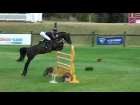 Cyrano du Ruisseau Z- jumping stallion (Z) by Chel...