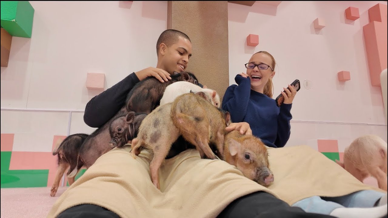 Tokyo Day Three: Ramen, Japanese Desserts, Takeshita Street and Almost Buying a Jil Sander Jacket