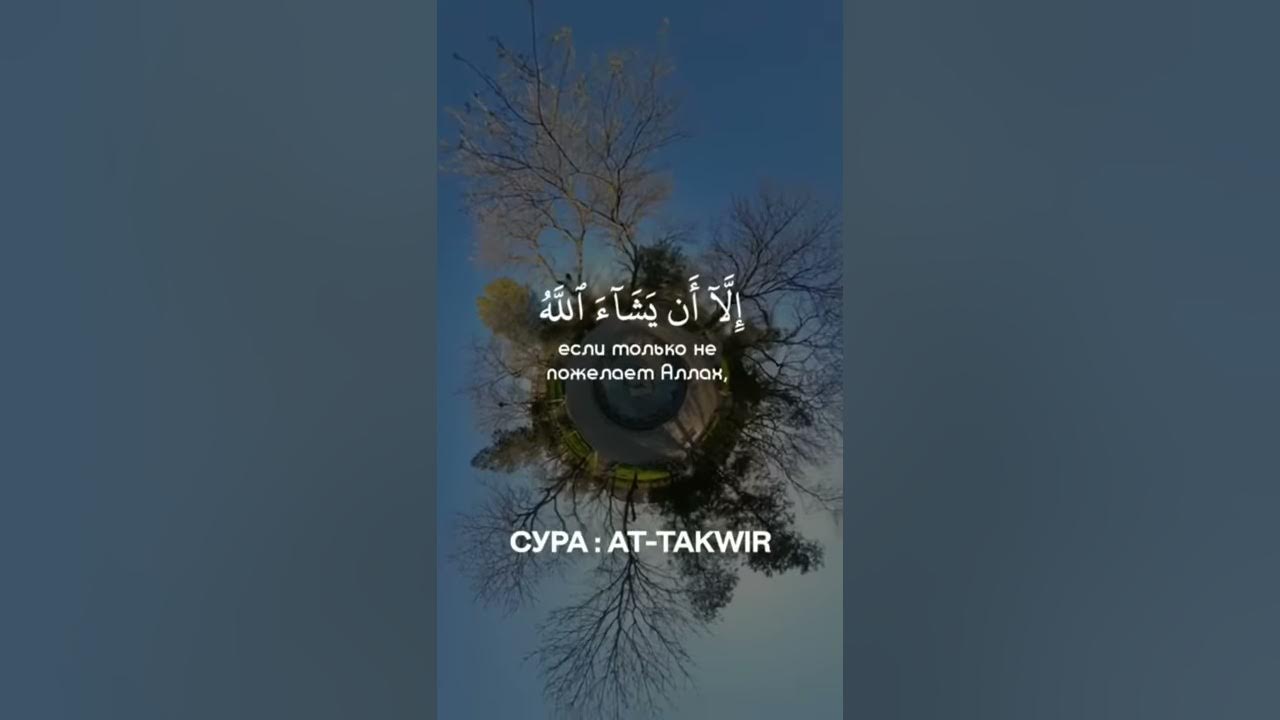 📖 Сура Ат-Таквир - YouTube