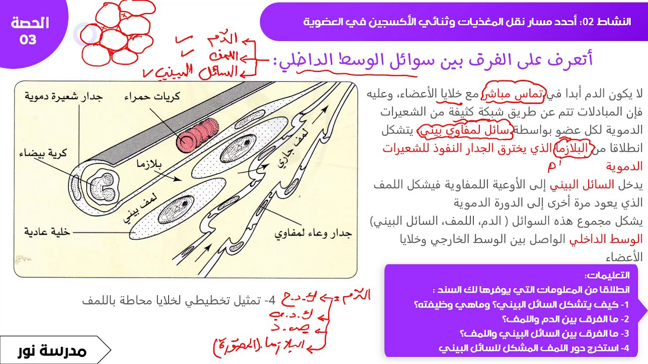 شرح الفرق بين سوائل الوسط الداخلي والعلاقة بينهم علوم طبيعية سنة 04 متوسط