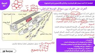 شرح الفرق بين سوائل الوسط الداخلي والعلاقة بينهم علوم طبيعية سنة 04 متوسط